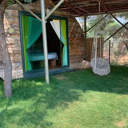 Mandala * פאראליה