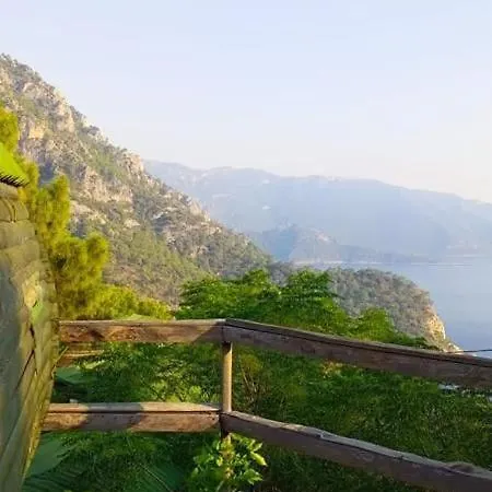 Mandala אתר קמפינג פאראליה