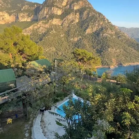 אתר קמפינג Mandala