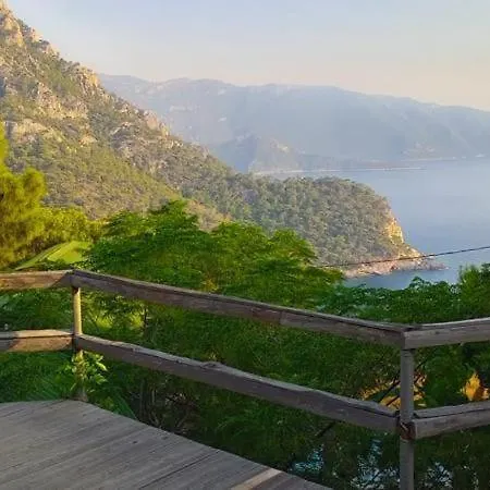 Mandala אתר קמפינג