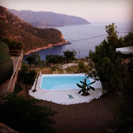 אתר קמפינג Mandala