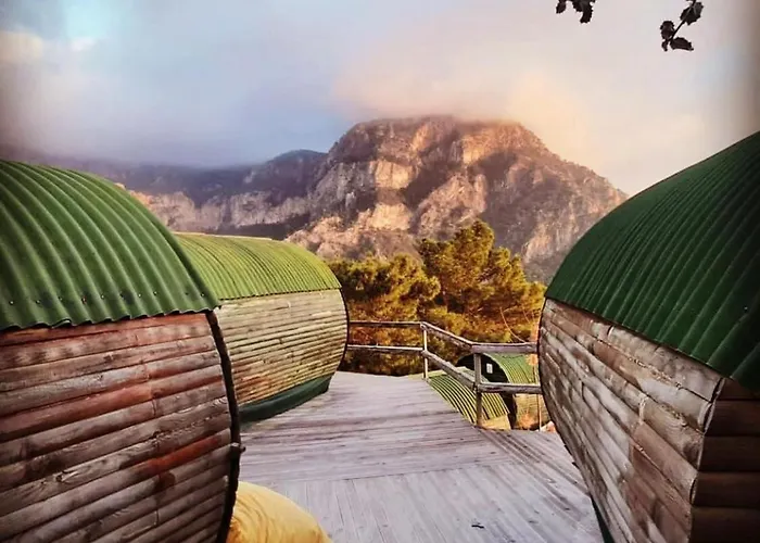 Mandala Kemp Faralya